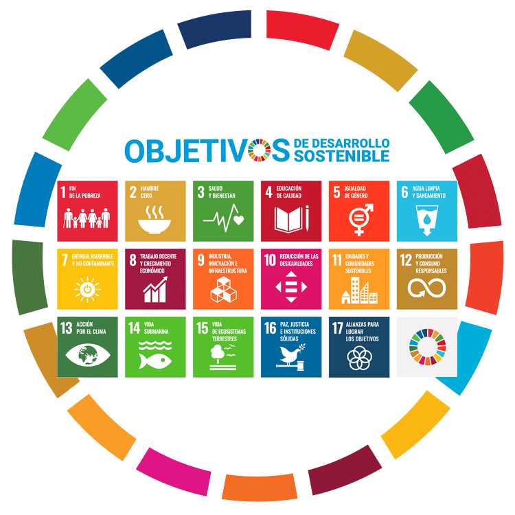 Agenda 2030 y ODS de Naciones Unidas