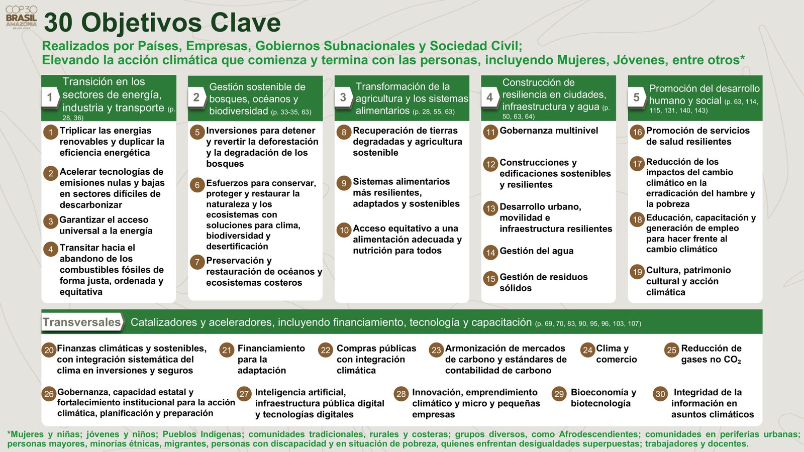 COP30 Agenda de Acción. Ejes tematicos.